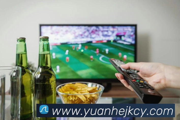 企业概况